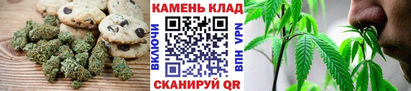 даркнет сайт  Новая Ладога  Еда ТГК марихуана 