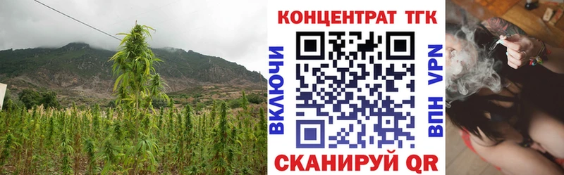 kraken как зайти  Новая Ладога  ТГК гашишное масло 