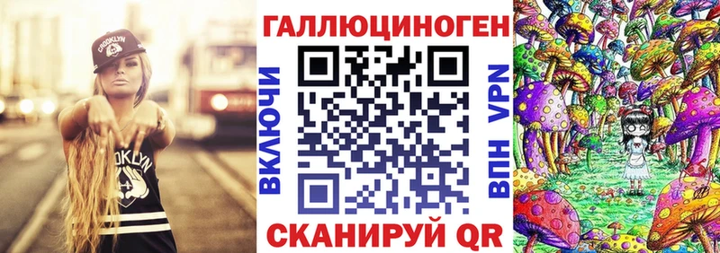 где купить наркоту  Новая Ладога  Псилоцибиновые грибы MAGIC MUSHROOMS 