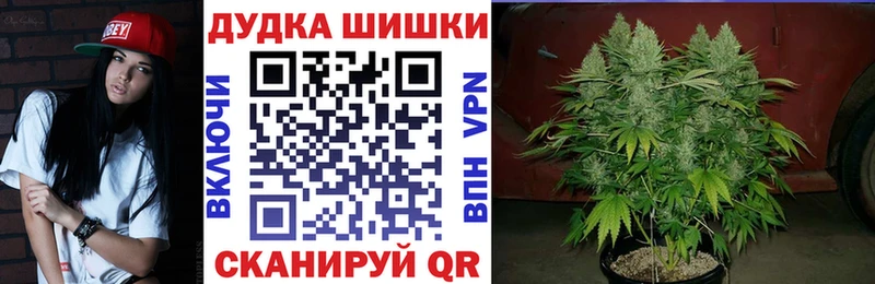 Конопля план Новая Ладога